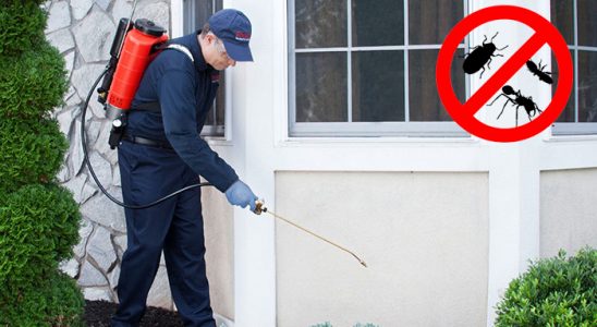 Hasköy Hamam Böceği İlaçlama böcek ilaçlama ve haşere kontrolü — ilaclama-tr.com